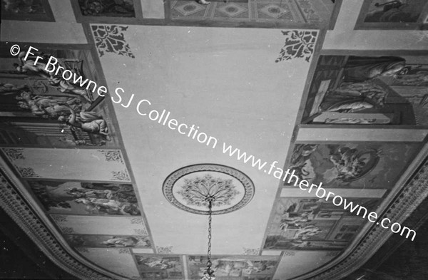 COSBY HALL  CEILING OF LIBRARY